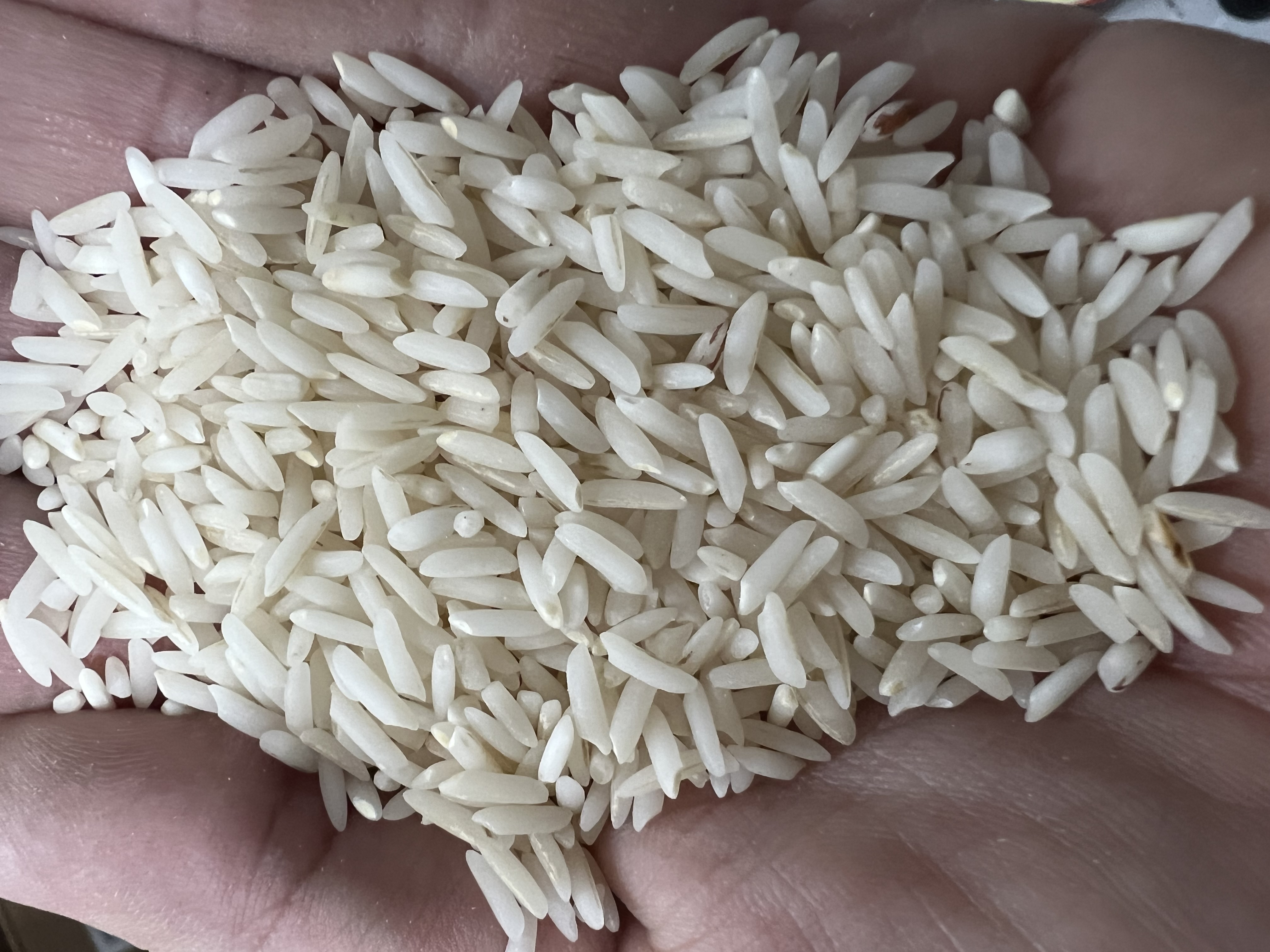 برنج طارم هاشمی مزرعه شخصی (بدون واسطه) ۱۰ کیلوگرم