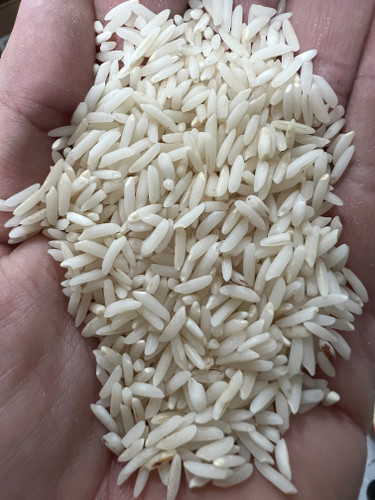 برنج طارم هاشمی مزرعه شخصی (بدون واسطه) ۱۰ کیلوگرم