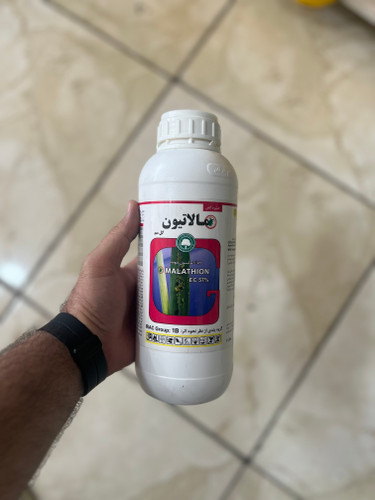 حشره کش مالاتیون گلسم ۱ لیتری